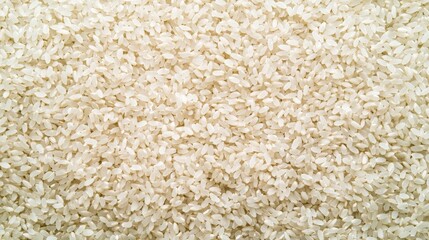 uncooked white rice texture background