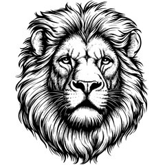 Lion Head, vintage woodcut, engraving style vector illustration, old sketch, black ink drawing, hand drawn animal art, retro etching, antique wildlife, tribal tattoo, majestic beast, roar