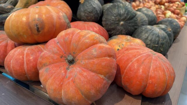 The "muganga pumpkin" (or mogango) is a variety of pumpkin very popular in Brazil, especially in the South region.