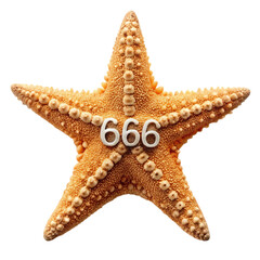 starfish isolated on white background