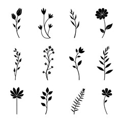Set of black silhouettes of plants