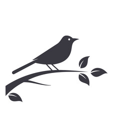 vector illustration of a bird