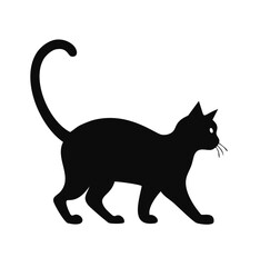black cat vector illustration