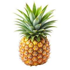 Fototapeta premium pineapple fruit isolated on white background cutout