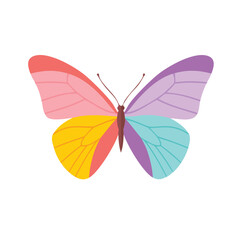 Fototapeta premium butterfly on white background