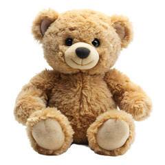 Obraz premium brown teddy bear isolated white background