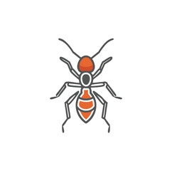 spider on a white background