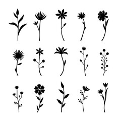 Set of black silhouettes of flowers, Set of floral design elements