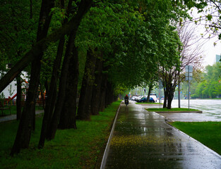 Electro bicycle rider on rainy street background