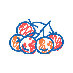 bunch tomato icon doodle illustration