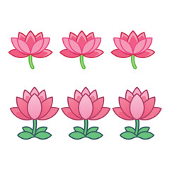 Pink lotus flowers vector illustration