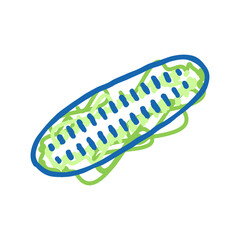 cut cucumber icon doodle illustration