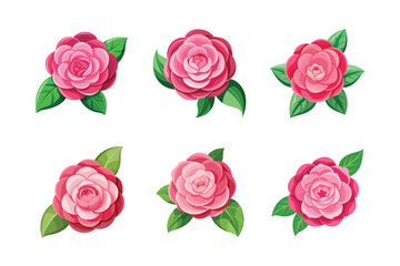 Obraz premium Camellia Beauty 6 Floral Designs in Vector Format