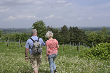 wanderer in rheinhessen