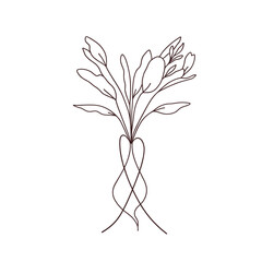 Crocus bouquet line art, brown, for branding