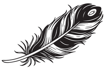 Stylized Feather Illustration