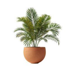 Obraz premium Lush Green Palm Plant in Terracotta Pot - Isolated on White Transparent background