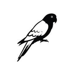 parrot silhouette vector, parrot bird icon clip art 