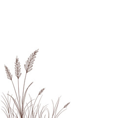 Hand drawn grass illustration, brown tones, for design projects