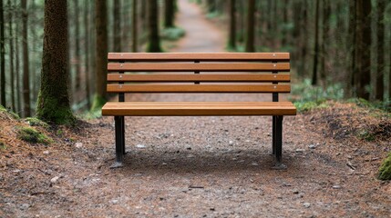 Wooden Bench Surrounded by Trees on a Walking Path in Forest