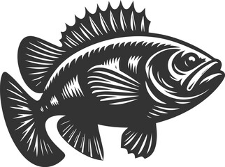 Sea bass fish vector silhouette