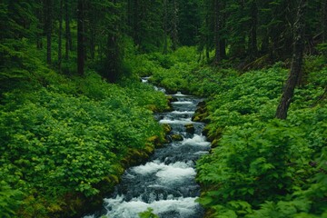 Obraz premium Lush forest stream flowing through vibrant green foliage on a gentle slope, serene nature