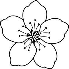 cherry blossom flower outline vector illustration line art