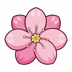 cherry blossom flower vector illustration