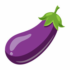 eggplant vegetable vector illustration