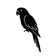 parrot silhouette vector, parrot bird icon clip art 