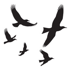 Obraz premium Vector set of flying birds. Usually stylized or realistic silhouettes of birds flying in the air. vector illustration eps 10