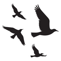 Vector set of flying birds. Usually stylized or realistic silhouettes of birds flying in the air. vector illustration eps 10