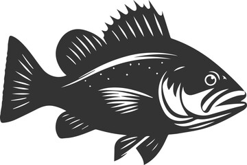 Sea bass fish vector silhouette