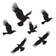 Vector set of flying birds. Usually stylized or realistic silhouettes of birds flying in the air. vector illustration eps 10