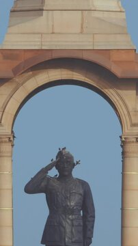 Delhi, India. Birds flying around of Statue of Subhas Chandra Bose. Netaji's Statue, is a monolithic statue made of black granite, dedicated to Netaji Subhas Chandra Bose, Indian freedom fighter and
