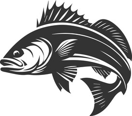 Sea bass fish vector silhouette