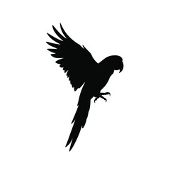 parrot silhouette vector, parrot bird icon clip art 