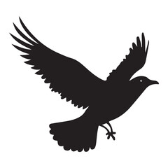 Flying bird vector. illustration eps 10