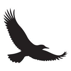 Flying bird vector. illustration eps 10
