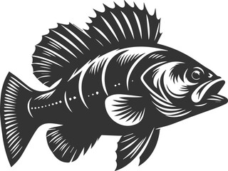 Sea bass fish vector silhouette