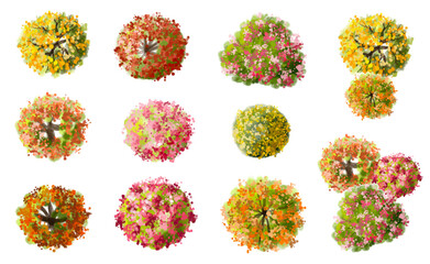 Vector watercolor blooming flower tree or forest top view isolated on white background for landscape plan and architecture drawing,plant for environment or garden,botanical element for exterior layout