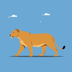 Flat vector illustration of a walking lioness
