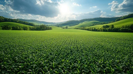 scenic agriculture field surrounded by hills and blue sky in summer