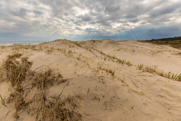Sand dunes with sparse grass on the coast of Sandhammaren, Sweden.