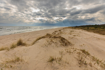 Sand dunes with sparse grass on the coast of Sandhammaren, Sweden.