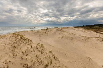 Sand dunes with sparse grass on the coast of Sandhammaren, Sweden.