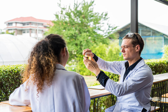 Scientist collecting hydroponic vegetables sample for analysis. Midsection of scientist holding leaf.