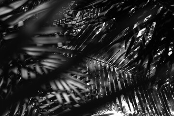 Brazilian Wilderness: Raw & Untamed Brazil, nature, rainforest, jungle, tropical, foliage, green,...