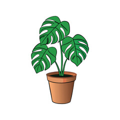 Monstera houseplant pot vector illustration, tropical indoor plant with large split leaves, home decor and greenery