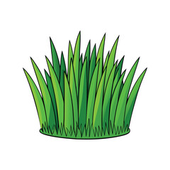 Grass vector illustration, green lawn or field element for landscape design, nature background and gardening clipart
